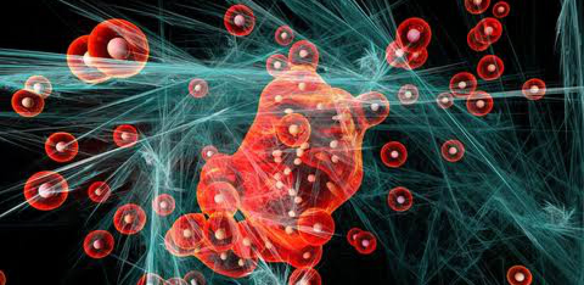 Nanopartículas De Magnetita Funcionalizadas Con Curcumina Evaluación De Actividad Citotóxica En 2864