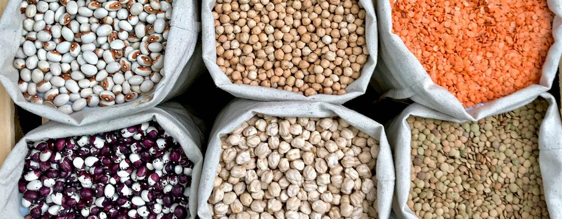 FERMENTACIÓN-LEGUMINOSAS-CONTEXTO-UDLAP