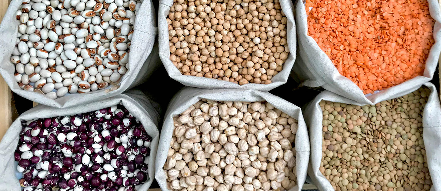 FERMENTACIÓN-LEGUMINOSAS-CONTEXTO-UDLAP