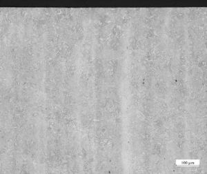 Ilustración 1: Micrografía del acero AISI 4340 (20 x)