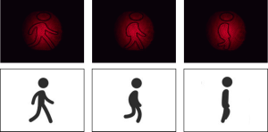 Luz
