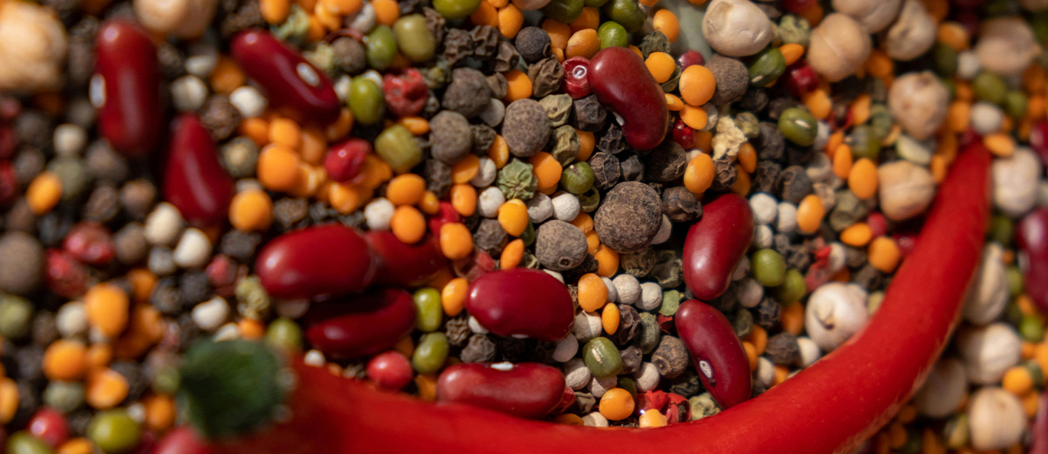 FRIJOLES-LENTEJAS-CONTEXTO-UDLAP