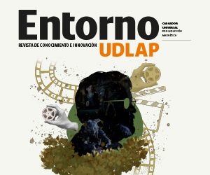 Botón Entorno 25
