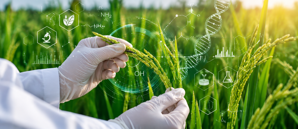 GMO-CONTEXTO-UDLAP GMO-CONTEXTO-UDLAP