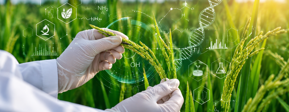GMO-CONTEXTO-UDLAP