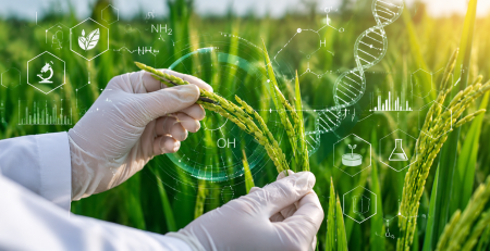 GMO-CONTEXTO-UDLAP